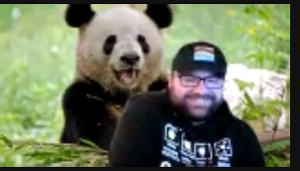 Man on screen with panda picture in the background.